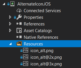 Adding alternate icon to iOS&rsquo;s Resources folder